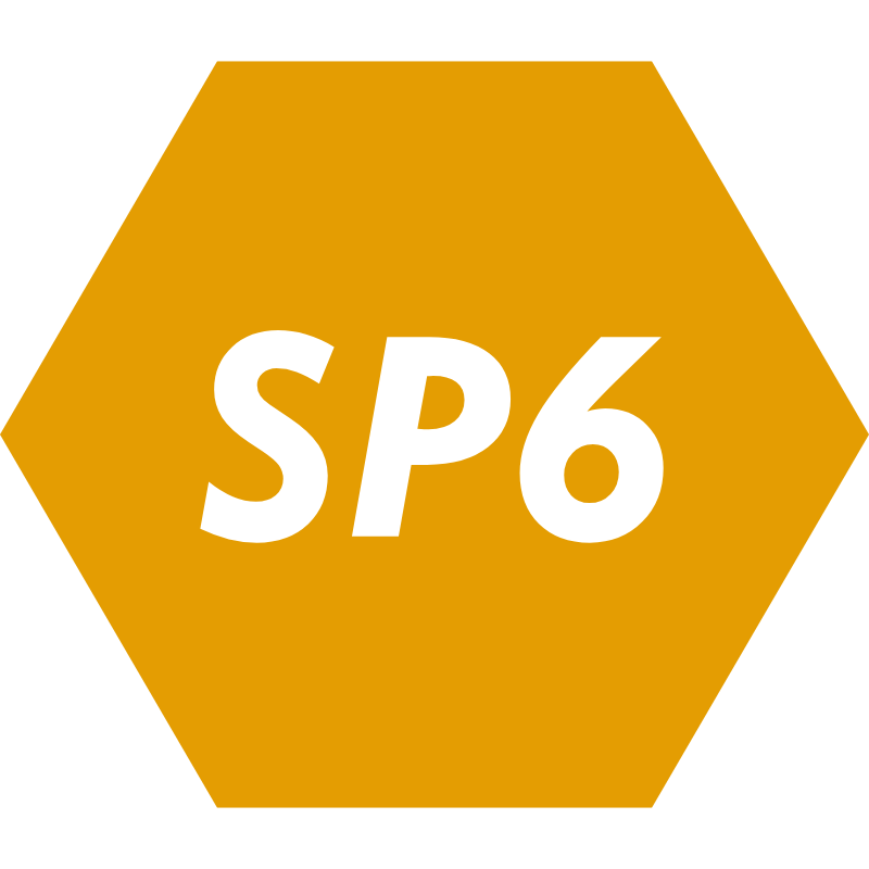 sp6